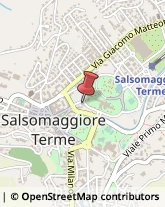 Pensioni Salsomaggiore Terme,43039Parma