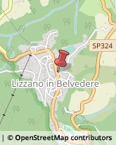 Bar e Caffetterie Lizzano in Belvedere,40042Bologna