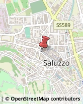 Piante e Fiori - Dettaglio Saluzzo,12037Cuneo