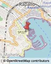 Cooperative e Consorzi Rapallo,16035Genova