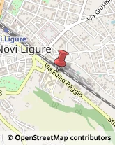 Agrumi Novi Ligure,15067Alessandria