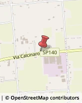 Vivai Piante e Fiori Cesena,47521Forlì-Cesena