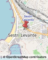 Paste Alimentari - Dettaglio Sestri Levante,16039Genova