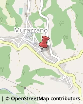 Autofficine e Centri Assistenza Murazzano,12060Cuneo