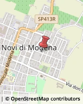 Cereali e Granaglie Novi di Modena,41016Modena