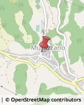 Farmacie Murazzano,12060Cuneo