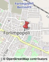 Articoli Natalizi Forlimpopoli,47034Forlì-Cesena