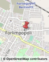 Locali, Birrerie e Pub,47034Forlì-Cesena