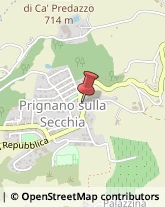 Studi Consulenza - Amministrativa, Fiscale e Tributaria Prignano sulla Secchia,41048Modena