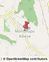 Alimentari Montelupo Albese,12050Cuneo