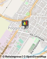 Scuole Pubbliche Poggio Rusco,46025Mantova