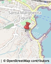 Subacquea Attrezzature Santa Margherita Ligure,16038Genova