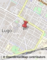 Agrumi Lugo,48022Ravenna