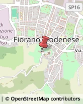 Via del Santuario, 18,41042Fiorano Modenese