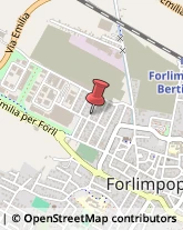 Artigianato Tipico Forlimpopoli,47034Forlì-Cesena