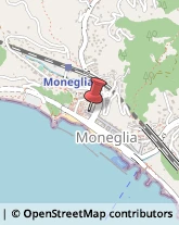 Alimentari Moneglia,16030Genova