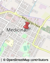 Gelaterie Medicina,40059Bologna