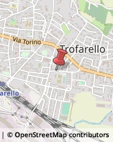 Protezione Civile - Servizi Trofarello,10028Torino