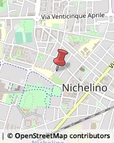 Case di Riposo e Istituti di Ricovero per Anziani Nichelino,10042Torino