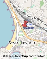 Pelletterie - Dettaglio Sestri Levante,16039Genova