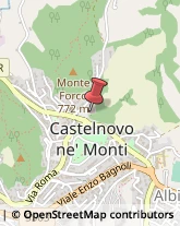 Erboristerie Castelnovo Ne' Monti,42035Reggio nell'Emilia