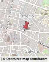 Turismo - Consulenze Bologna,40125Bologna