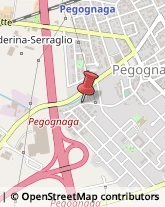 Pavimenti Pegognaga,46020Mantova