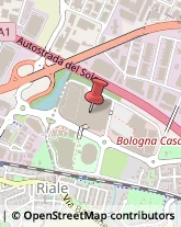 ,40033Bologna