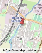 Osteopatia Bologna,40128Bologna