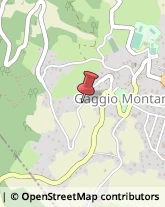 Pensioni Gaggio Montano,40041Bologna