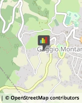 Pensioni Gaggio Montano,40041Bologna