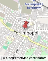 Articoli Carnevaleschi e per Feste Forlimpopoli,47034Forlì-Cesena