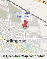 Molini Forlimpopoli,47034Forlì-Cesena