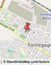 Lavatrici e Lavastoviglie - Riparazione Forlimpopoli,47034Forlì-Cesena