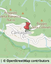 Chiesa Cattolica - Servizi Parrocchiali Cantagallo,59025Prato