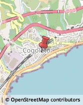 Consulenze Speciali Cogoleto,16016Genova