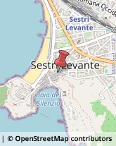 Paste Alimentari - Dettaglio Sestri Levante,16039Genova