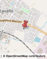 Parrucchieri Bagnacavallo,48012Ravenna