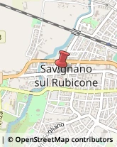 Commercialisti Savignano sul Rubicone,47039Forlì-Cesena