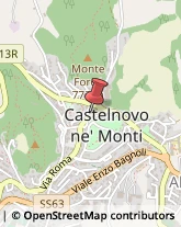 Amministrazioni Immobiliari Castelnovo Ne' Monti,42035Reggio nell'Emilia