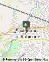 Erboristerie Savignano sul Rubicone,47039Forlì-Cesena