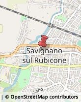 Erboristerie Savignano sul Rubicone,47039Forlì-Cesena