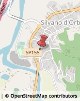 Istituti di Bellezza Silvano d'Orba,15060Alessandria