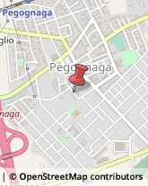 Associazioni Sindacali Pegognaga,46020Mantova