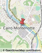 Alimentari, Vini, Bevande e Dolciari - Agenti e Rappresentanti Cairo Montenotte,17014Savona