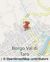Laboratori di Analisi Cliniche Borgo Val di Taro,43043Parma