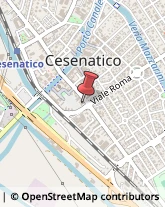 Elettrauto Cesenatico,47042Forlì-Cesena