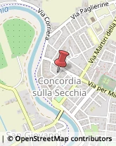 Pronto Soccorso Concordia sulla Secchia,41033Modena