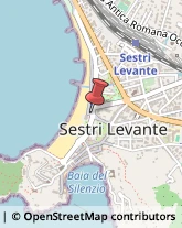 Agenzie Immobiliari Sestri Levante,16039Genova