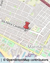 Locali, Birrerie e Pub Carrara,54033Massa-Carrara